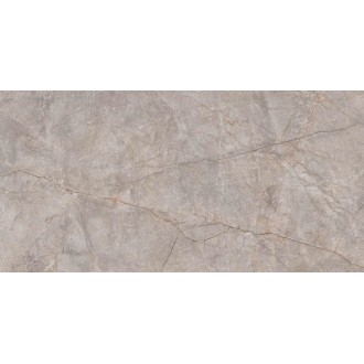N20553 Керамогранит Silver River Carving 60x120