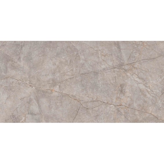 Керамогранит N20553 Керамогранит Silver River Carving 60x120