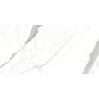 N40011 Керамогранит Venatino Grey Fusion 60x120