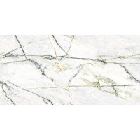 N40012 Керамогранит Calacatta Green (Book) Polished 60x120