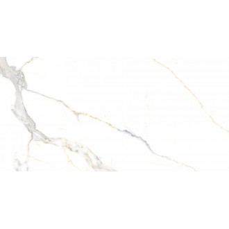 N40019 Керамогранит Statuario Platinum Carving 60x120