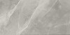 N70005 Fior Di Bosco Polished 60x120