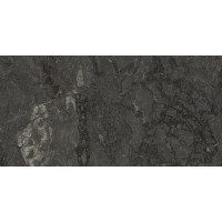 N70008 Flagstone Polished 60x120