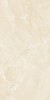 N9232T49 Amantus Cream Polished Rect 60х120
