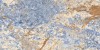 N9377 Albo Nano Polish Rect 60x120