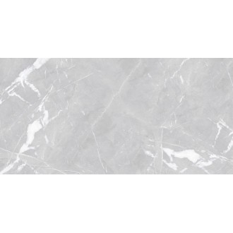 N9406T46 Valdez Light Gray Nano Polish Rect 60х120