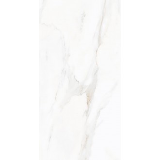 N9608T30 Sharon Light Polished 60х120