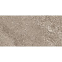 NATURAL GREIGE 50x100