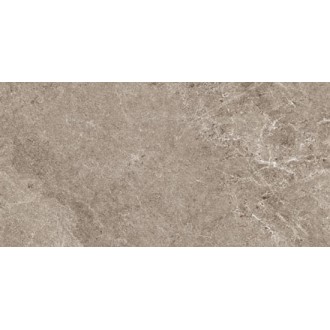 NATURAL GREIGE 50x100