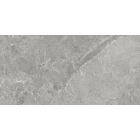 NATURAL SILVER 50x100