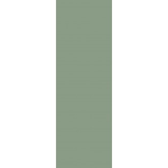 NB_0403 Плитка Ekzotic olive 30х90