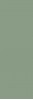NB_0403 Плитка Ekzotic olive 30х90