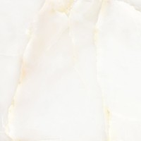 NEO93101F Керамогранит Elegante Onyx Silver Levigato Rettificato 60x60