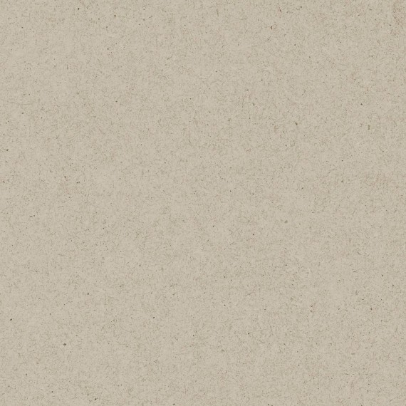 Керамогранит NG106 Керамогранит Ассара песочный glossy 600x600x9