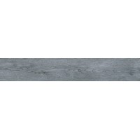NORDEN Ceniza Compacglass 20x120