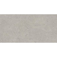 NP01 Newport неполированный 30.6x60.9x0.8