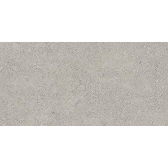 NP01 Newport неполированный 30.6x60.9x0.8