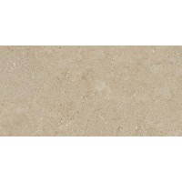 NP02 Newport неполированный 30.6x60.9x0.8