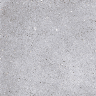 NR121 Nemo Light Grey 60x60