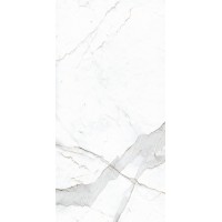 NR201 Dario Matt 600x1200