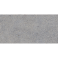 NR206 Керамогранит Elgon Grey 60x120