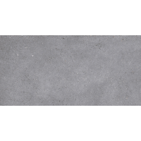 NR210 Керамогранит Nemo Grey 60x120