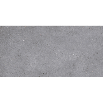 NR210 Керамогранит Nemo Grey 60x120