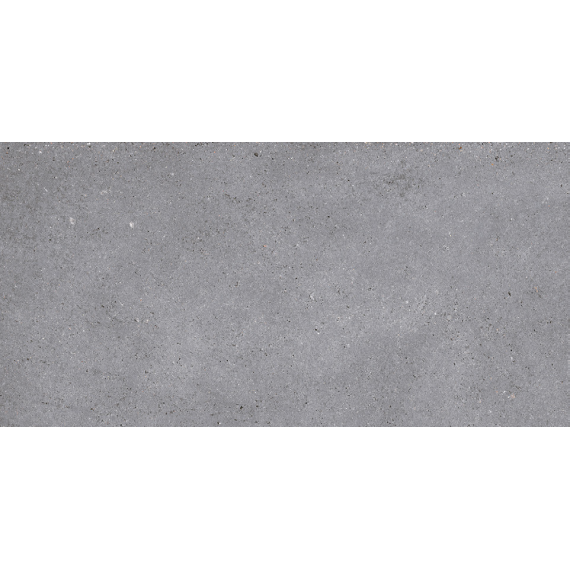 Керамогранит NR210 Керамогранит Nemo Grey 60x120