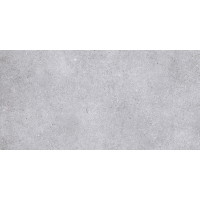 NR211 Керамогранит Nemo Light Grey 60x120