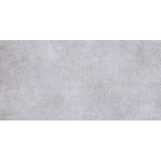 NR211 Керамогранит Nemo Light Grey 60x120