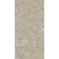 NS612NTT9021L Quanta Grey 60x120