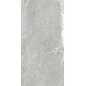 NS612NTT9026L Slate Grey 60x120