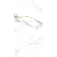 NTT3001P Carrara Gold 120x240