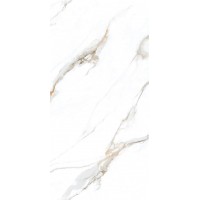 NTT3002P Calacatta Gold 120x240