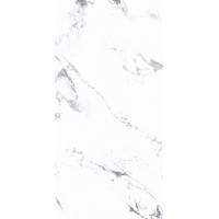 NTT3003P Arabescato 120x240