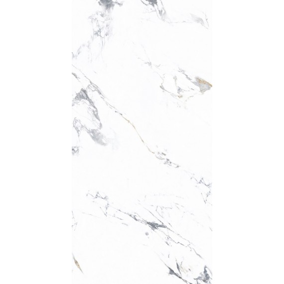 Керамогранит NTT3003P Arabescato 120x240