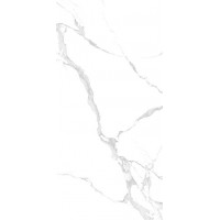 NTT3004P Bianco Carrara 120x240