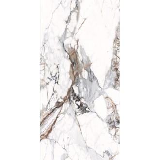 NTT3005P Breccia Capria 120x240