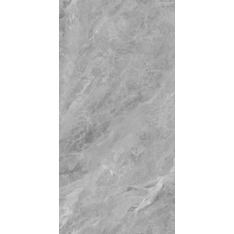NTT3007P Breccia Light Grey 120x240