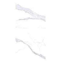 NTT3008P Bianco Statuario 120x240