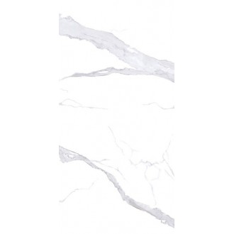 NTT3008P Bianco Statuario 120x240