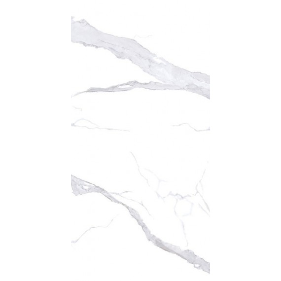 Керамогранит NTT3008P Bianco Statuario 120x240