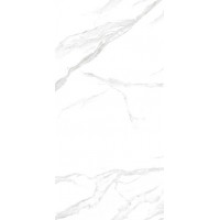 NTT3009M Statuario Mat 120x240