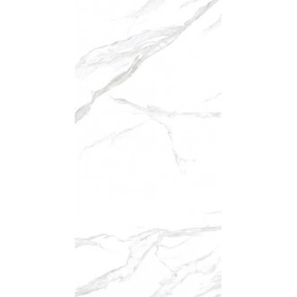 NTT3009M Statuario Mat 120x240