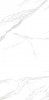 NTT3009M Statuario Mat 120x240