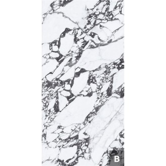 NTT3013P Керамогранит (B) Tantai Jin Demon 120x240