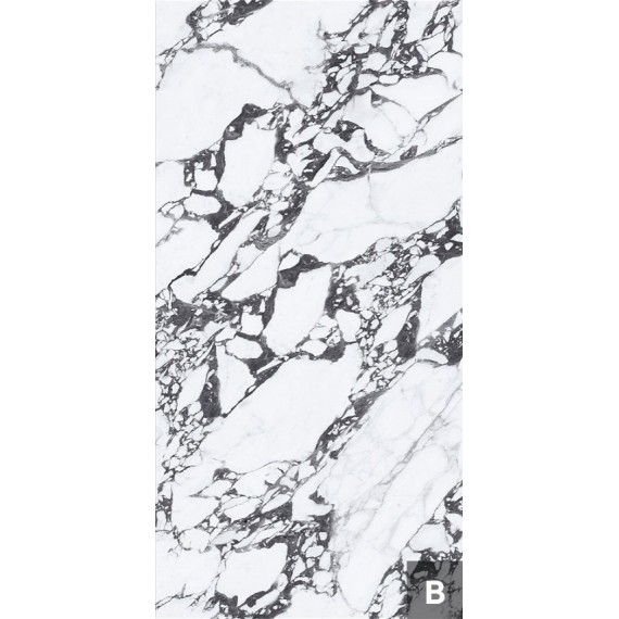 Керамогранит NTT3013P Керамогранит (B) Tantai Jin Demon 120x240