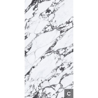 NTT3013P Керамогранит (C) Tantai Jin Demon 120x240