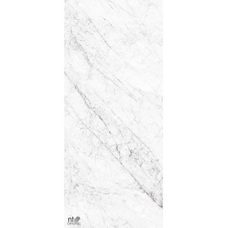 NTT3602C Керамогранит Carrara Elite 120x280