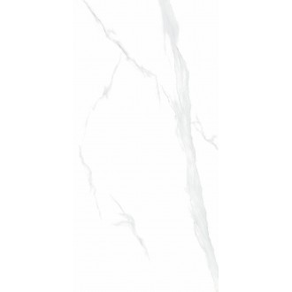 NTT9106P Statuario 60x120